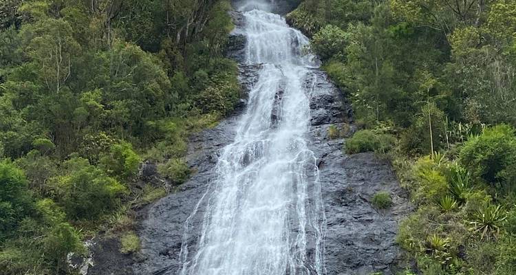 Tall, thin waterfall cascades down a cliff surrounded by dense greenery.