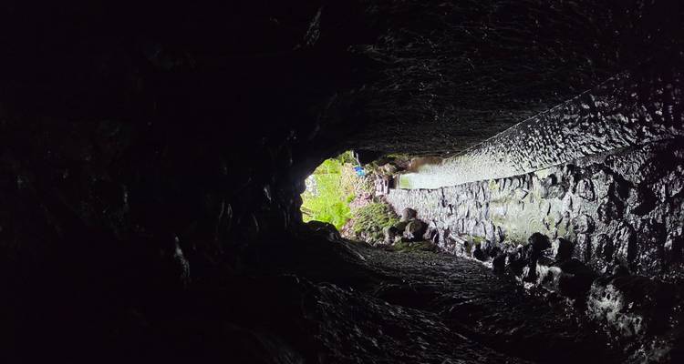 Un étroit tunnel humide s'ouvre sur un sentier de levada luxuriant et la lumière du jour au-delà.