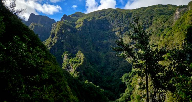 Des parois de canyon escarpées et verdoyantes s'élèvent vers des pics dentelés sous un ciel bleu éclatant.