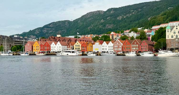 Large vue panoramique du port avec les bâtiments colorés de Bryggen, des voiliers amarrés devant et une colline boisée en arrière-plan.