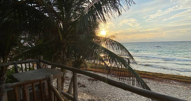 Sunrise view from a wooden deck framed by palm fronds overlooking the beach and sea.