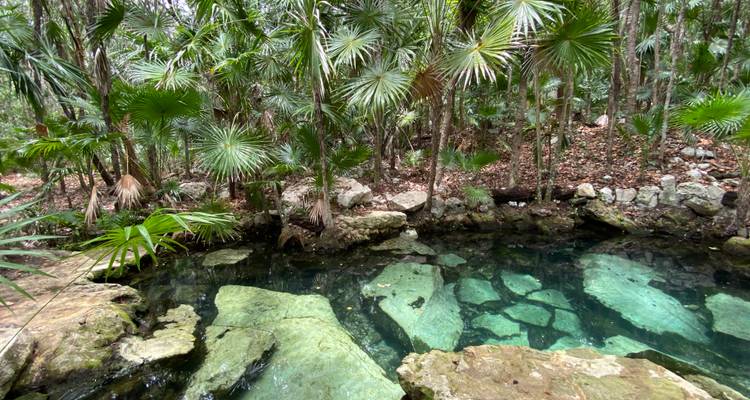 Clear freshwater cenote surrounded by jungle with large limestone boulders beneath the surface.