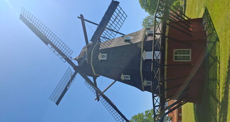 Moulin à vent historique en bois avec de grandes voiles se dressant sur un terrain herbeux sous un ciel bleu éclatant