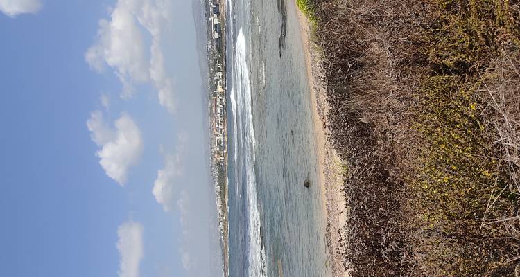 Coastal scene with gentle surf, arid scrub in the foreground and a distant town on the horizon.