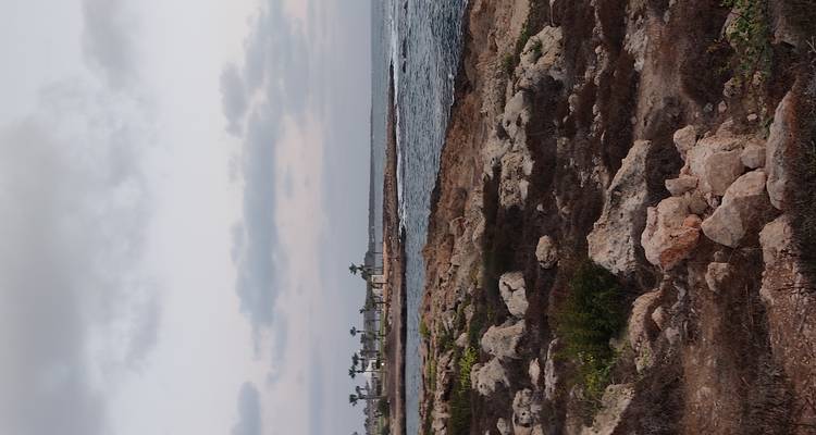 Rocky shoreline and low vegetation at dusk with muted clouds over the horizon.