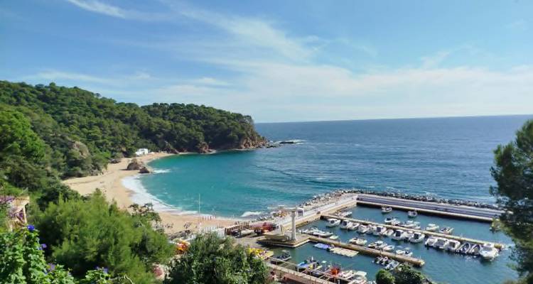Petite crique de plage abritée par les falaises avec une petite marina et une eau turquoise.