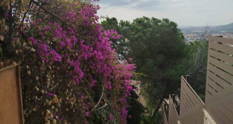 Bougainvillée en fleur rose vif en cascade sur un escalier avec vue sur la vallée au-delà.