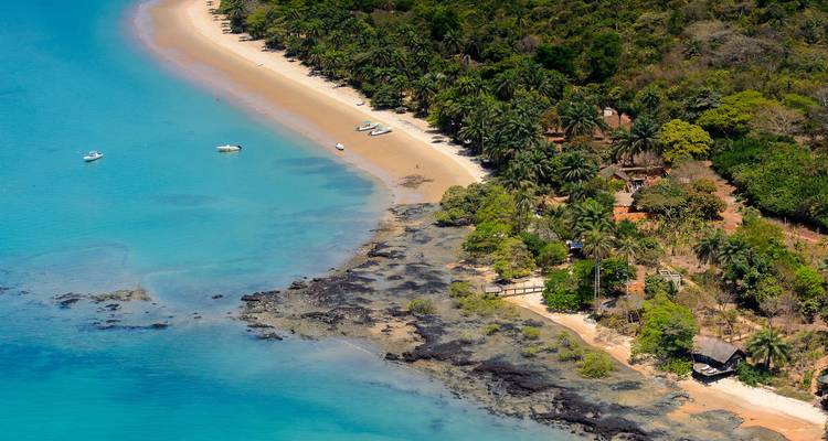 Duplicate aerial of pristine tropical shoreline with clear blue water and palm trees.