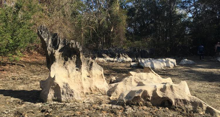 Jagged pale limestone formations rise from dry earth at the edge of a forested area.