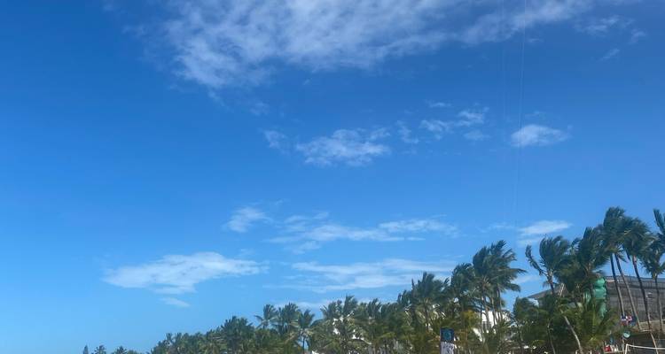 Rangée de palmiers sous un ciel bleu éclatant sur un littoral tropical