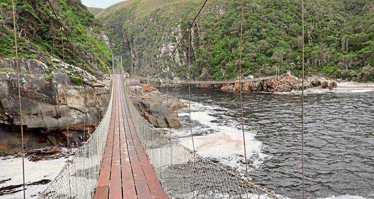 Wood-plank suspension bridge crossing over dark coastal river between rugged cliffs and dense forest.