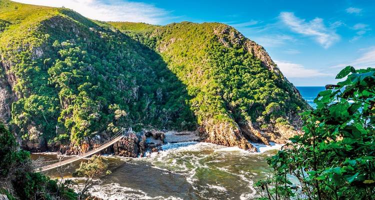 Aerial vantage of lush green gorge where a suspension bridge spans the mouth of a river meeting turquoise sea.