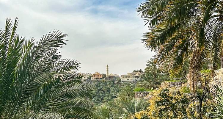 Frondas de palma enmarcando una lejana aldea omaní con un esbelte minarete bajo un cielo brumoso.