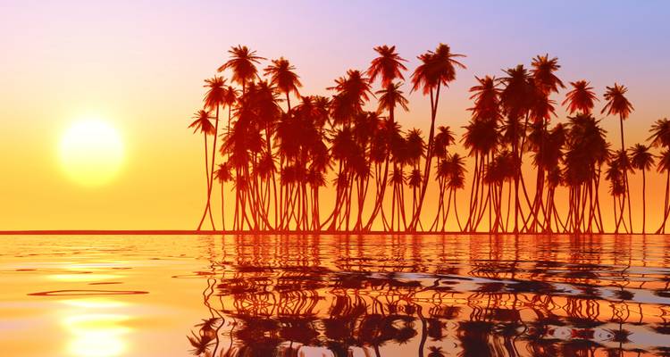 Silhouetted palm island reflects in calm ocean water against a vibrant tropical sunset sky.