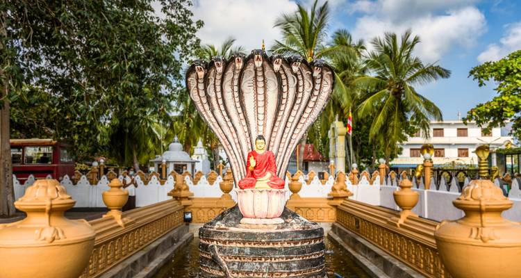 A small Buddha statue sheltered by an elaborate cobra hood within a temple courtyard lined by palm trees.