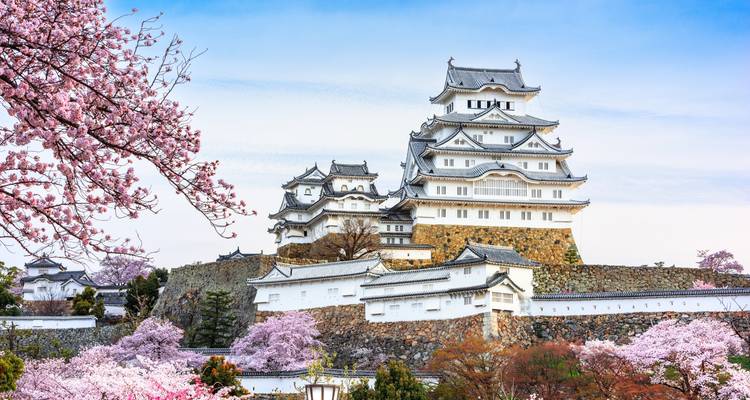 The white keep of Himeji Castle rises above blooming cherry trees under a clear blue sky.