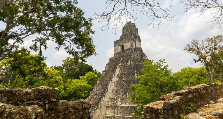 Estructura del Templo de Piedra en Tikal enmarcada por la vegetación de la selva bajo la luz solar brillante.