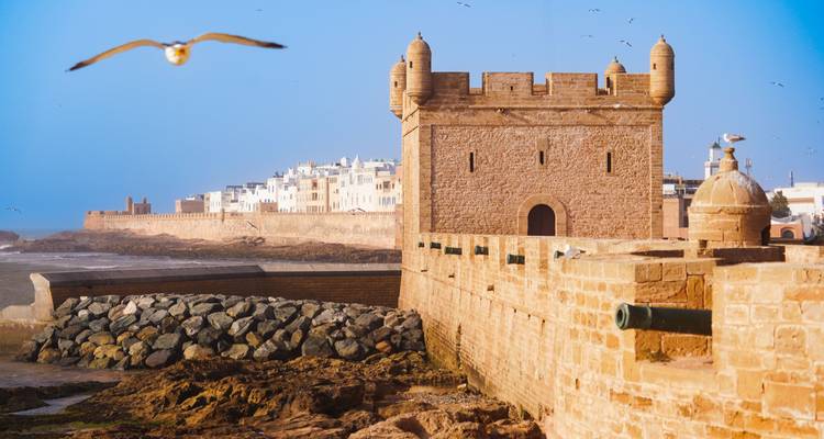 A fortified stone tower and crenellated wall stand beside rocky shorelines as a seagull soars overhead.