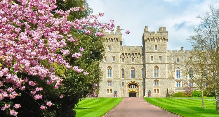 Ingang van Windsor Castle omlijst door bloeiende kersenbloesems en netjes onderhouden gazons.