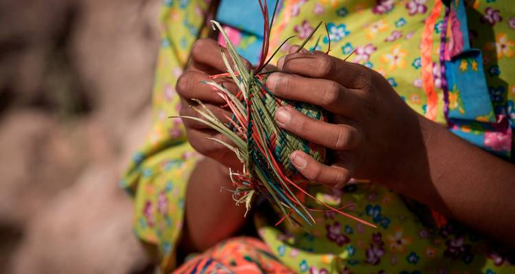 Primer plano de manos tejiendo fibras coloridas en una canasta, mostrando la artesanía tradicional