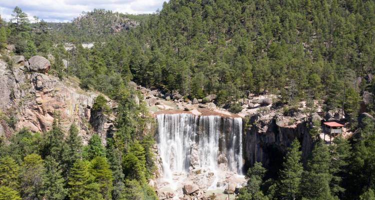 Grande cascade se précipitant dans un bassin rocheux entouré d'une dense forêt de pins.