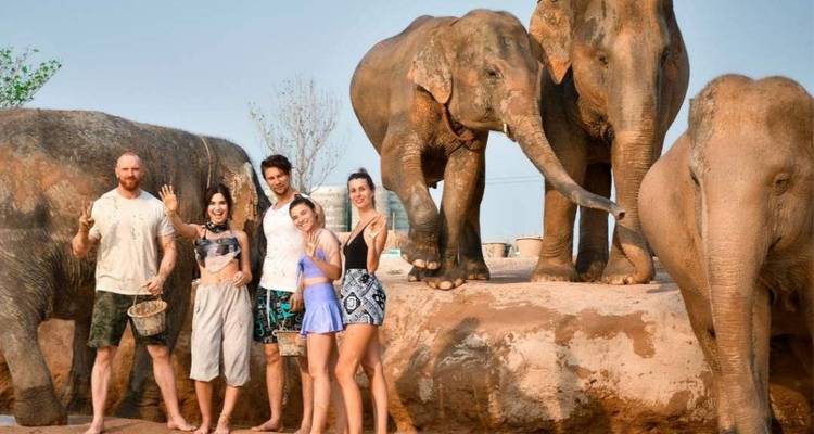 Un groupe de touristes pose avec des éléphants secourus dans un sanctuaire naturel sous un ciel dégagé.