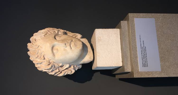 Marmeren buste van een jonge figuur tentoongesteld op een voetstuk in een zacht verlichte museumgalerij.