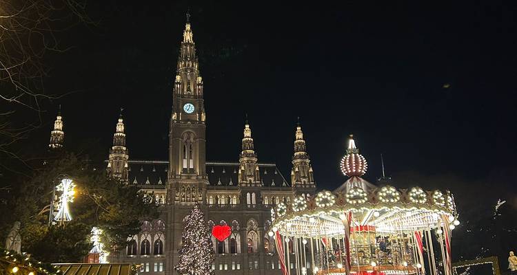 El Ayuntamiento de Viena iluminado para Navidad con carrusel, árbol y mercado festivo por la noche.