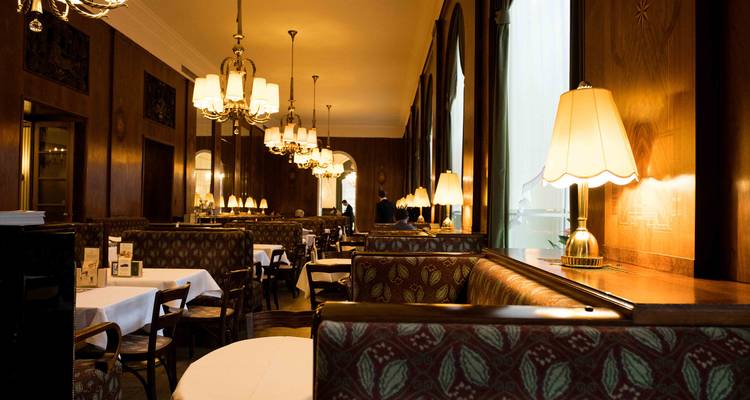 Interior acogedor y con iluminación cálida de una tradicional cafetería vienesa con mesas bien organizadas y lámparas vintage.