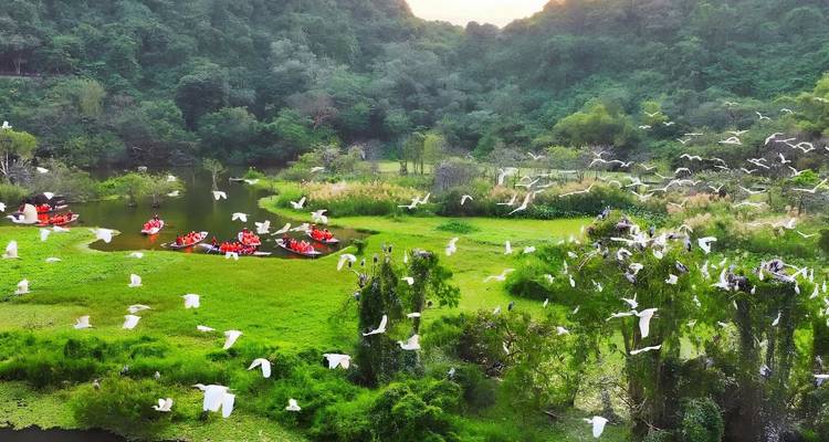 Los botes rojos se deslizan por un lago pantanoso rodeado de vegetación exuberante mientras los pájaros blancos se elevan en vuelo.