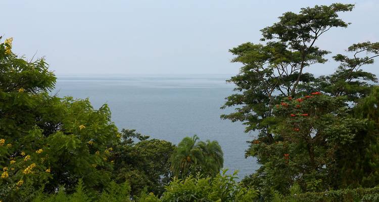 Uitgelicht uitzicht op het Kivu-meer door weelderig groen gebladerte en bloeiende bomen.