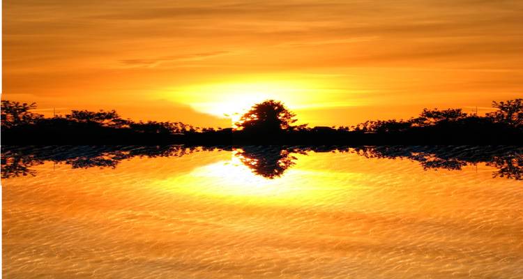 Brilliant orange sunset reflected perfectly on still water with silhouetted trees along the horizon.