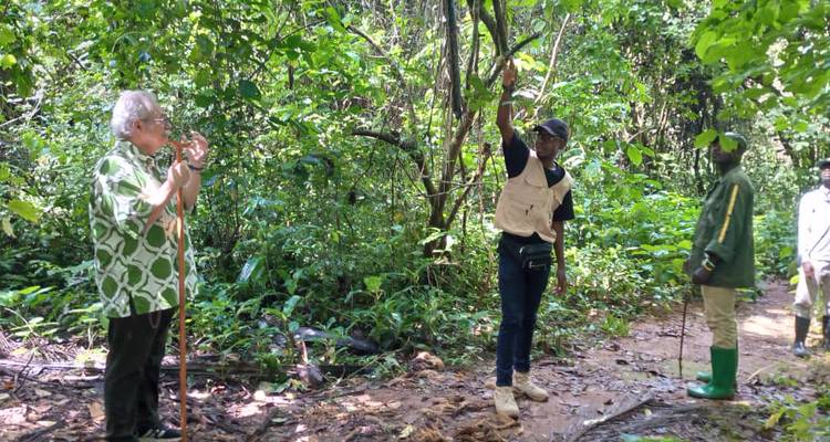 Guide points upward while leading visitors along a muddy path through dense tropical forest.