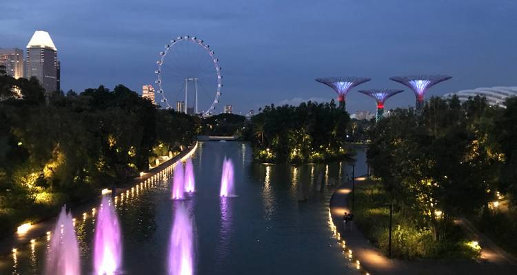 Escena nocturna con fuentes moradas, Singapore Flyer y Supertrees iluminados junto a un canal.