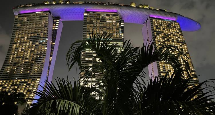 Vista nocturna hacia arriba del hotel Marina Bay Sands iluminado en púrpura detrás de hojas de palmera silueteadas.