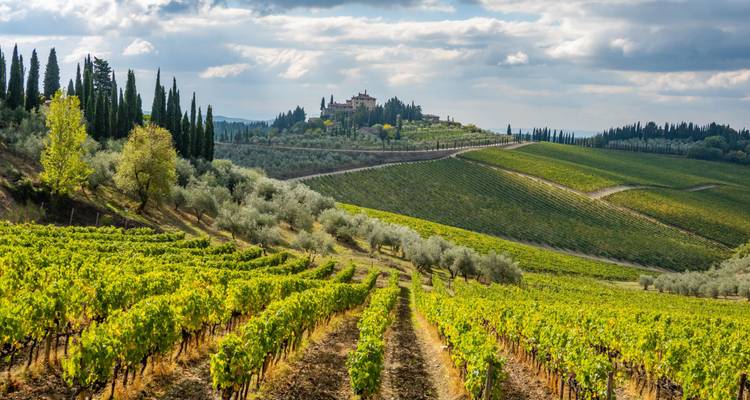 Rodantes viñedos de Chianti que llevan a una villa en la cima de una colina flanqueada por cipreses.