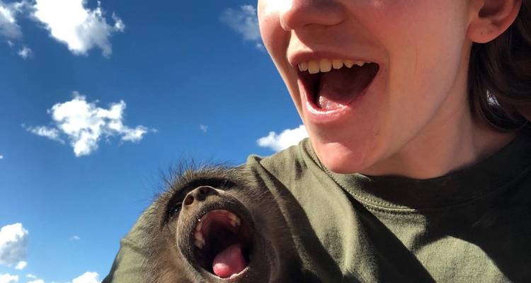 Laughing woman takes selfie with a yawning baboon against bright blue sky