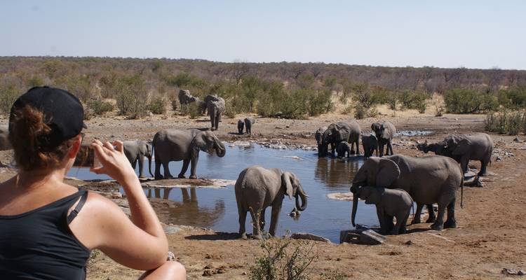 Tourist photographs large herd of elephants drinking at a waterhole on open savannah