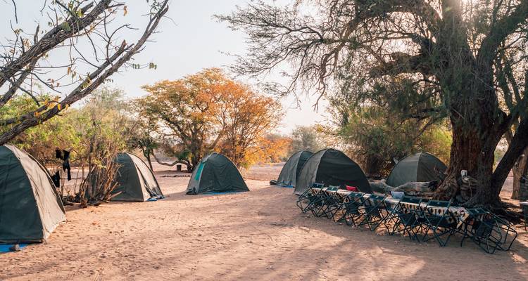 Basic desert campsite with dome tents under shady trees and rows of folding chairs