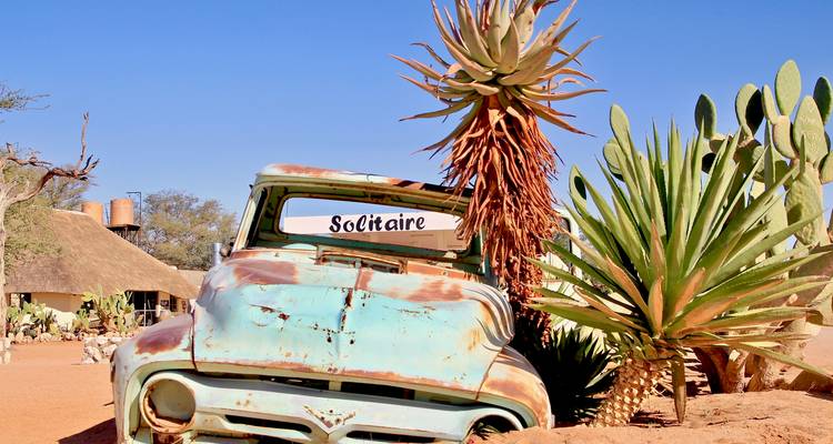 Vintage turquoise truck rusts beside aloe and cacti under clear blue desert sky in Solitaire