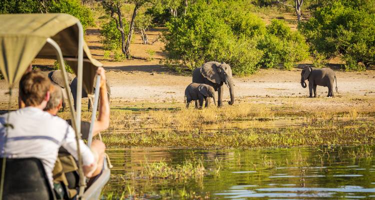 Les passagers en safari en bateau observent des éléphants sur une rive herbeuse de la rivière