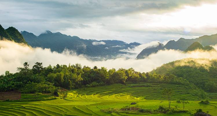 La luz del sol se abre paso a través de la niebla sobre arrozales esmeralda respaldados por montañas boscosas.