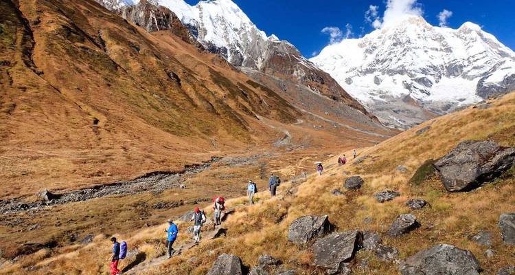 Trekking group follows a trail through golden alpine meadow toward snow-capped peaks.