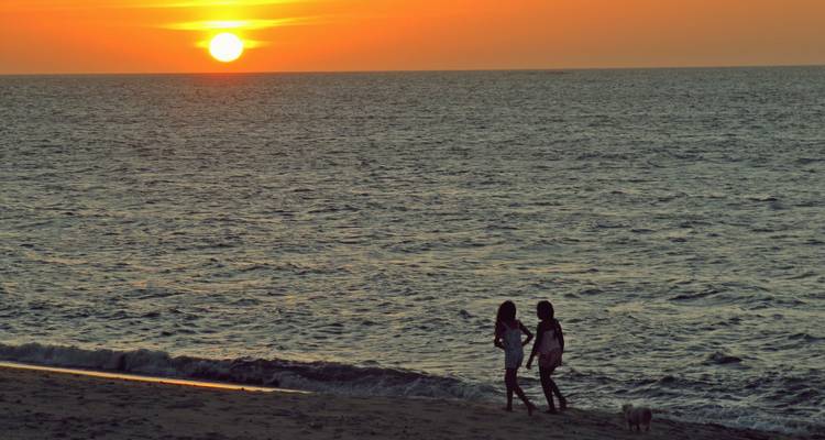 Silhouettes de deux amis se promenant avec un chien le long du rivage au coucher du soleil