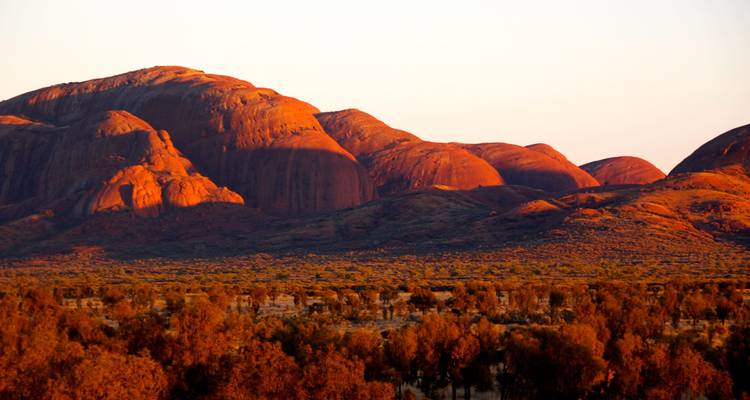 Orange-hued domes of Kata Tjuta glow in low evening light above a scrubby desert plain.