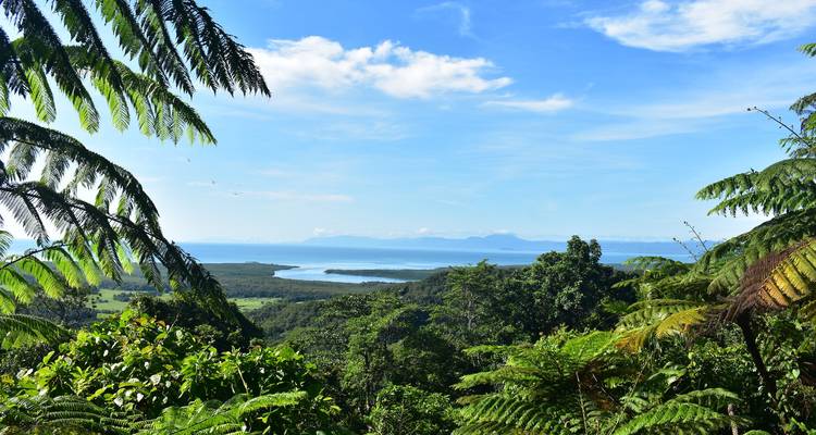 Panoramic rainforest vista framing coastline, blue sea and distant mountains under a clear sky.