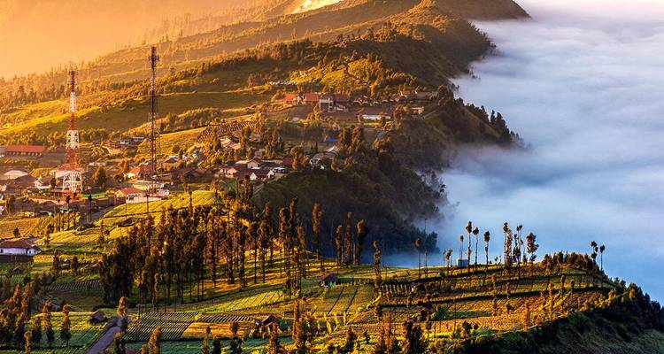 Amanecer dorado sobre un valle lleno de neblina y pueblos en las laderas cerca del Monte Bromo.
