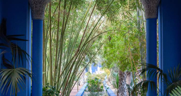 Allée ombragée aux colonnes et arches d'un bleu éclatant, entourée de bambous luxuriants et de plantes tropicales.