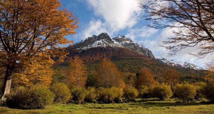 Vurige herfstbomen omkaderen een berg met sneeuwtoppen in het Tierra del Fuego Nationaal Park.
