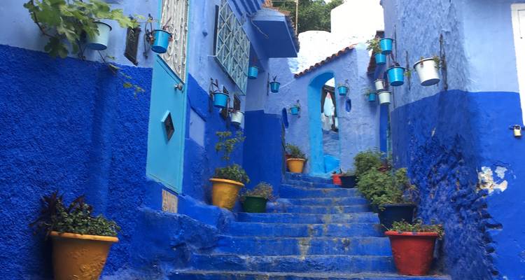Ruelle bleu vif avec des pots de plantes colorés menant à des escaliers en pierre à Chefchaouen.